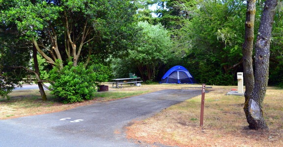 Bullards Beach State Park Campground