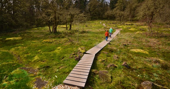 Camassia Natural Area