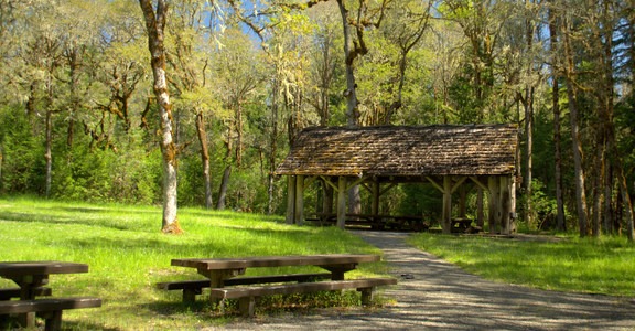 Packard Creek Campground