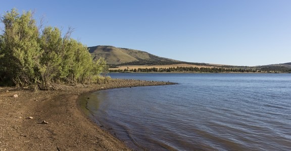 Haystack Campground (East Shore)