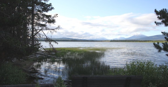 Crane Prairie Campground
