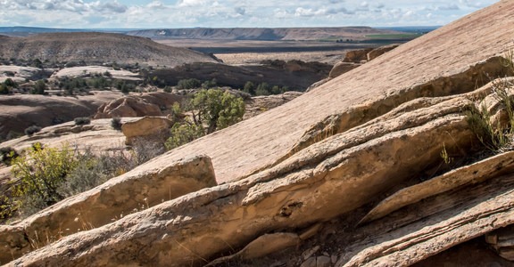 Sound of Silence Trail