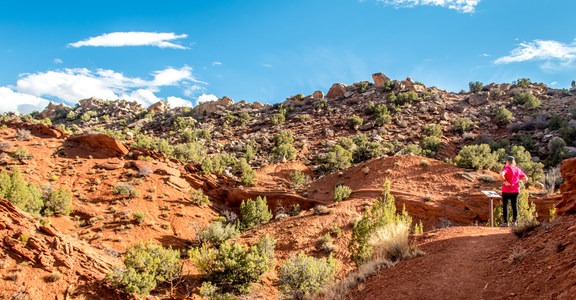 Desert Voices Trail