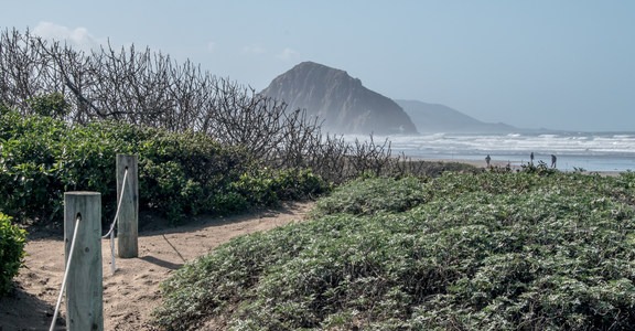 Morro Strand Campground