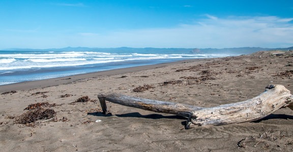 Sand Spit Day Use Area