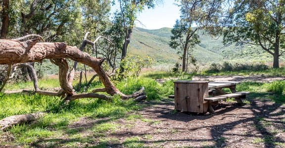 Montana de Oro Environmental Campsites
