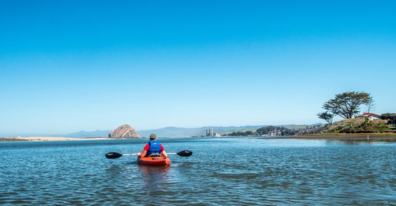 Morro Bay State Reserve