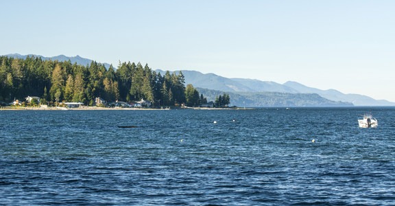 Potlatch State Park Campground