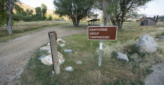 Hawthorne Group Campground