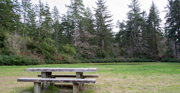 Lodgepole Picnic Area