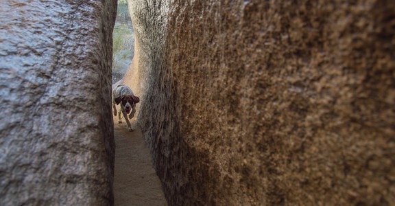 Fat Man's Pass via National Trail