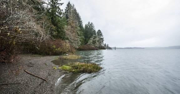 Lake Quinault, Gatton Creek Campground