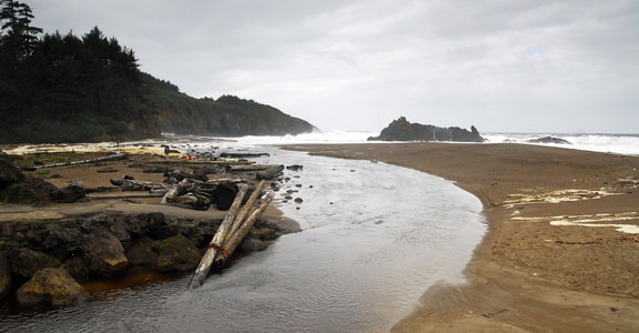 Fogarty Creek State Recreation Site