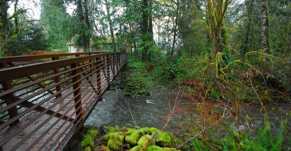 Lake Quinault, Falls Creek Campground
