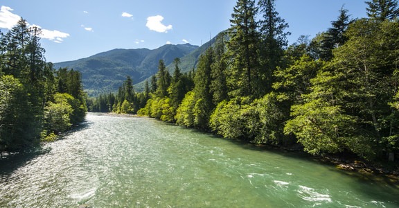 Goodell Creek Campground + Group Sites