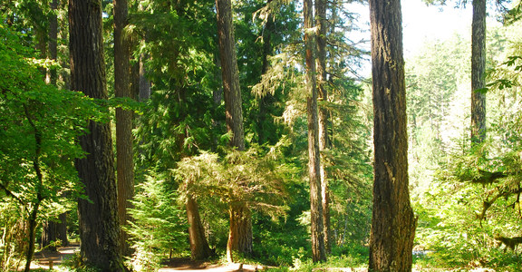 La Wis Wis Campground