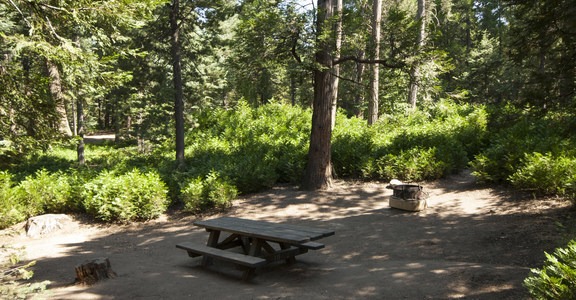 Dogwood Family Campground