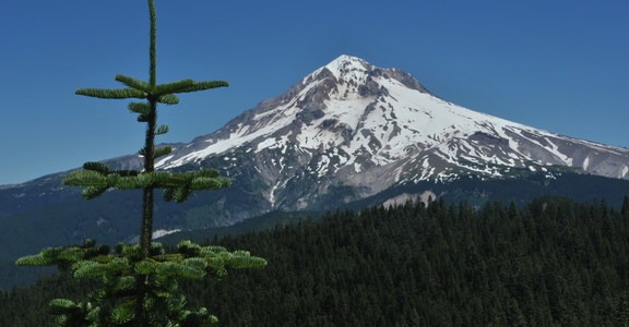 Zig Zag Mountain via the Horseshoe Ridge Trail