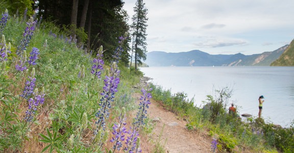 Beaver Bay Shoreline Trail