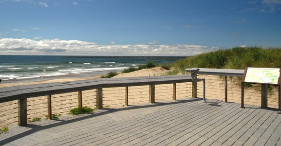 South Beach State Park Campground