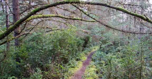 Chief Tsiltcoos Trail