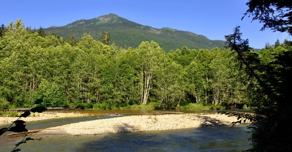 Silver Fir Campground