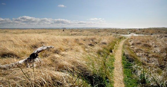 Oyhut Wildlife Recreation Area + Beach