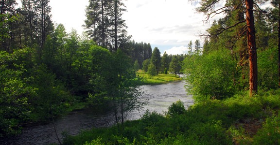 Metolius River Spring