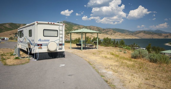 Great Horned Owl + Chokecherry Campgrounds