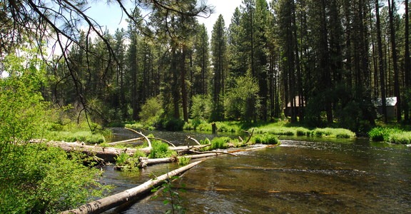 Pine Rest Campground