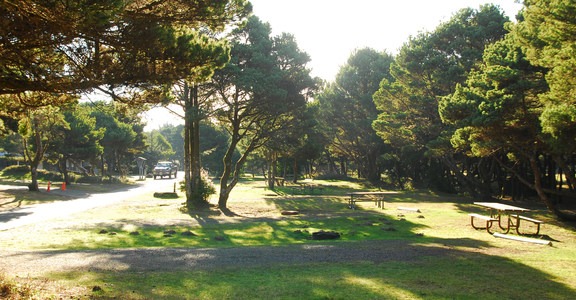 Twin Harbors State Park Campground