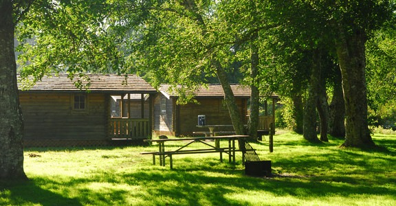 Cape Disappointment Campground D