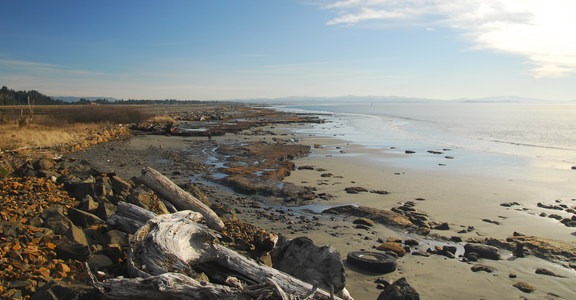 North Cove, Washaway Beach
