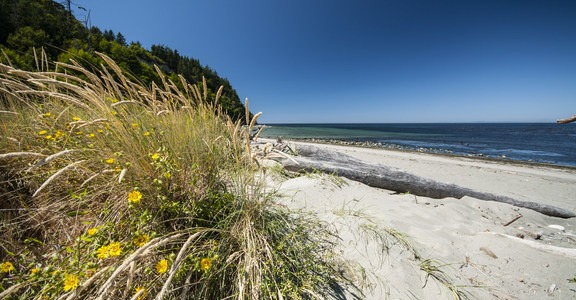 Fort Worden State Park Beach Campground + Upper Forest Campground