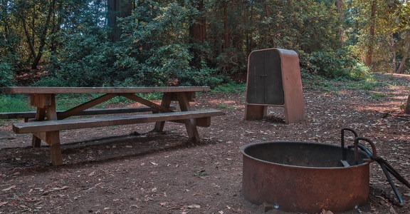 Tan Oak Campground