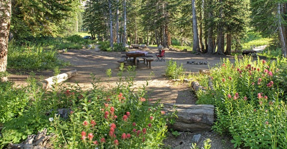 Albion Basin Campground