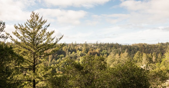 La Corona Trail Hike