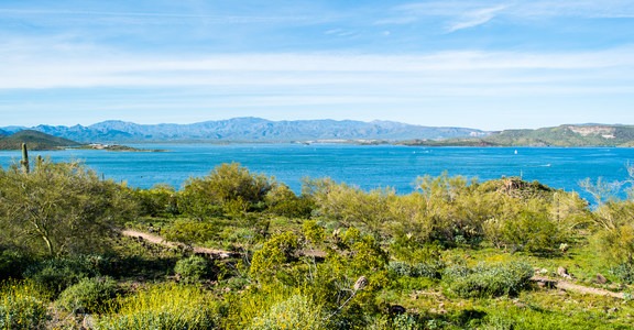 Roadrunner Campground