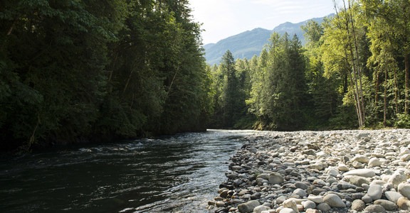 Allison Pool Recreation Site Group Campground