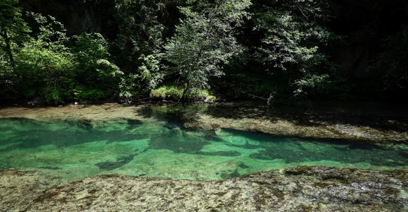 Salmon Creek Falls Swimming Holes
