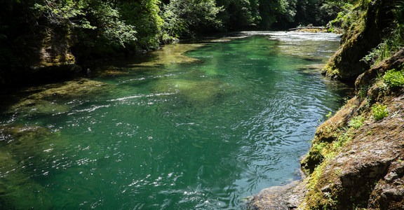 Salmon Creek Falls Campground