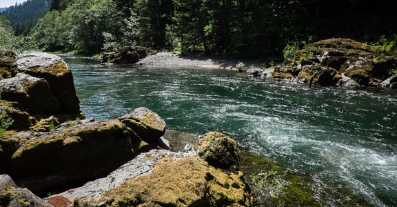 North Fork Middle Fork Willamette Swimming Hole 1.4