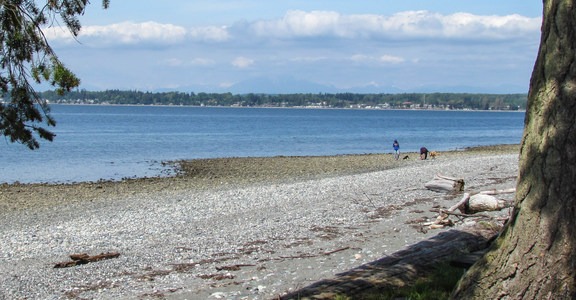 Birch Bay State Park