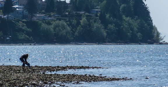 Birch Bay State Park Campground