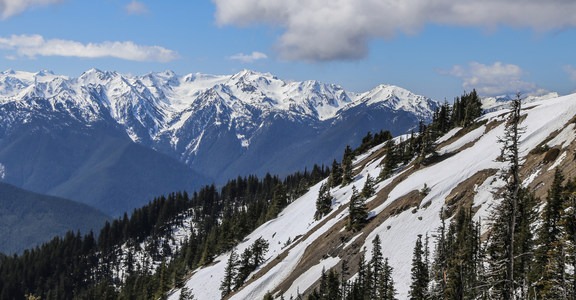 Hurricane Ridge
