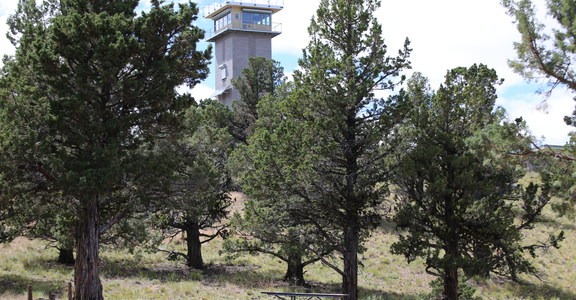 Green Mountain Fire Lookout Tower