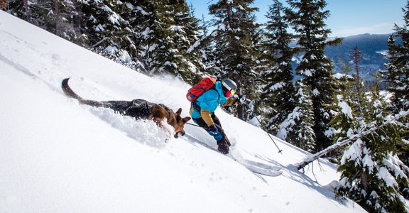 3 Things to Consider Before Bringing Your Dog Into the Backcountry