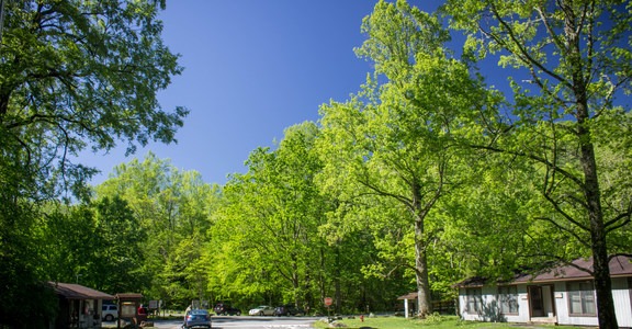Elkmont Campground