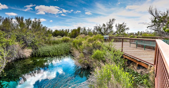 Ash Meadows National Wildlife Refuge