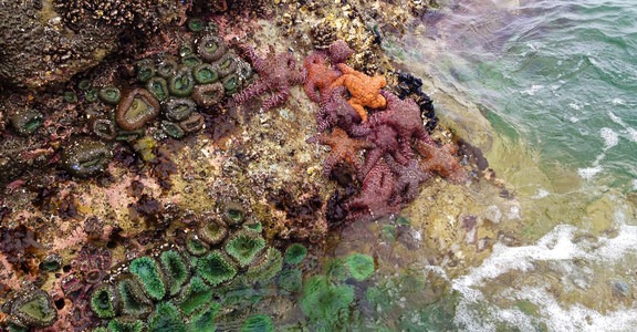 Hug Point State Recreation Site